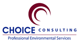 Choice Consulting LLC logo