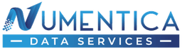 Numentica LLC logo