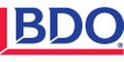 BDO Public Sector LLC logo