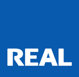 Real Network Services Inc logo