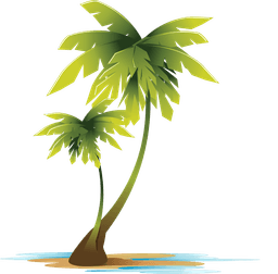 Solutions Cay logo
