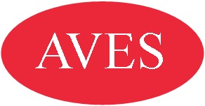 AVES AUDIO VISUAL SYSTEMS INC.