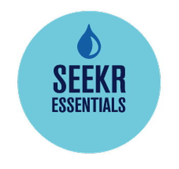 Seekr Essentials Seekr Global Inc
