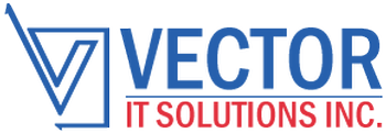 VECTOR IT SOLUTIONS INC